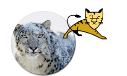 Featured image of post Building Universal Apache Tomcat Native Library on OSX