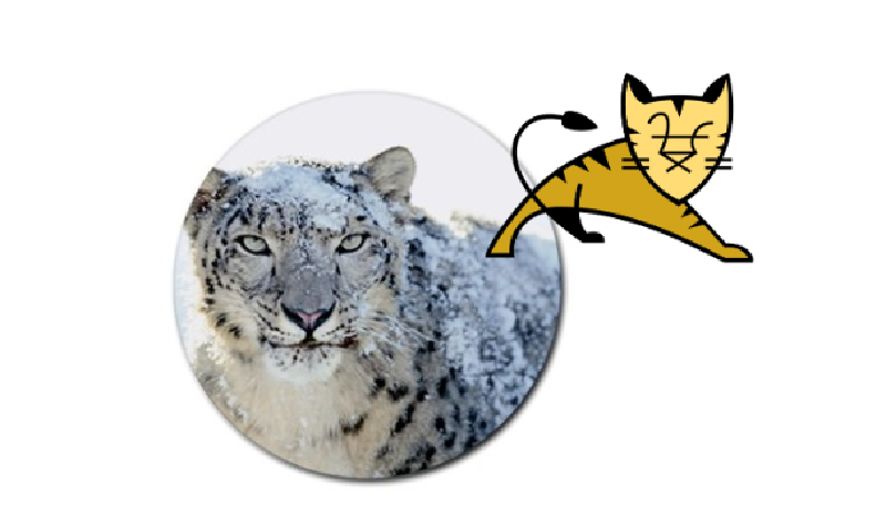 Featured image of post Building Universal Apache Tomcat Native Library on OSX